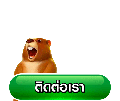 BOXRICH88
